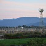 Temecula_0135 ()